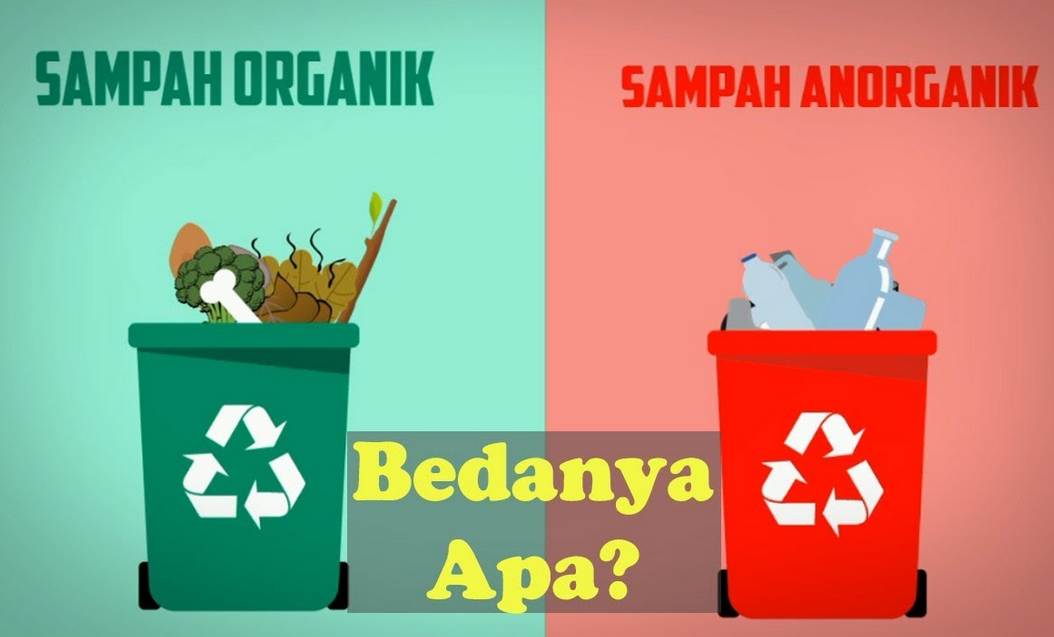 Perbedaan Sampah Organik dan Anorganik