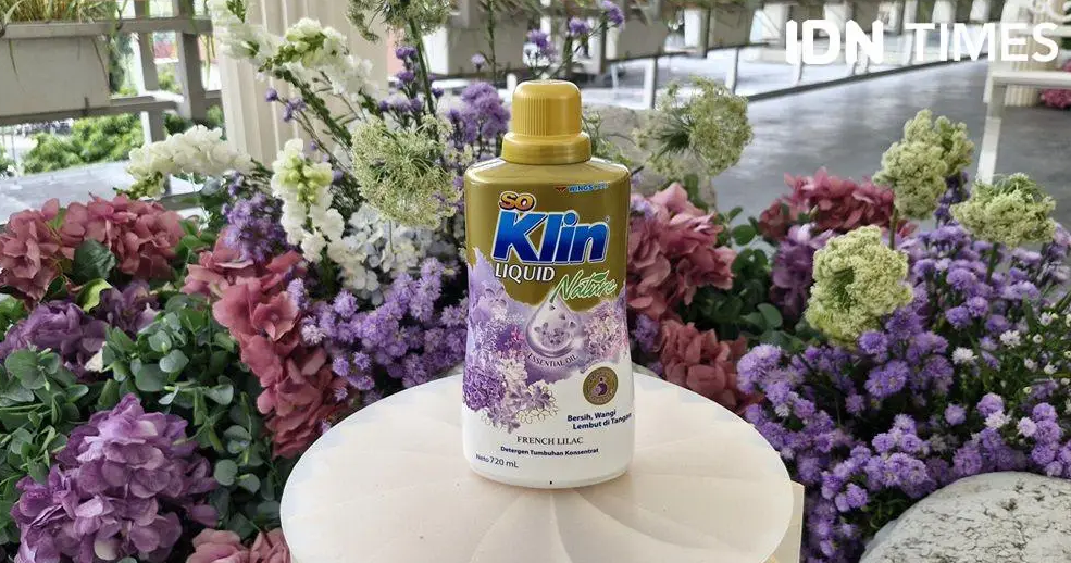 Deterjen Tumbuhan Solusi Ramah Lingkungan untuk Pakaian Bersih